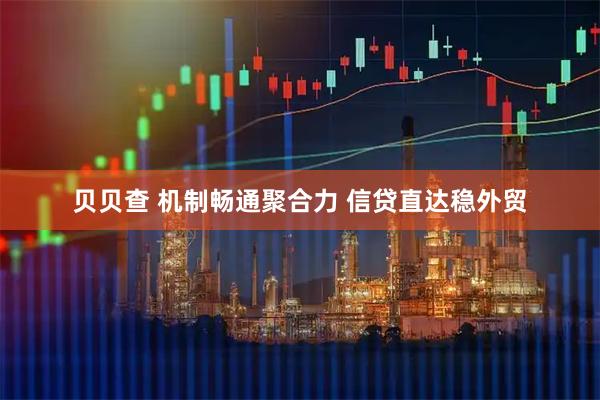 贝贝查 机制畅通聚合力 信贷直达稳外贸