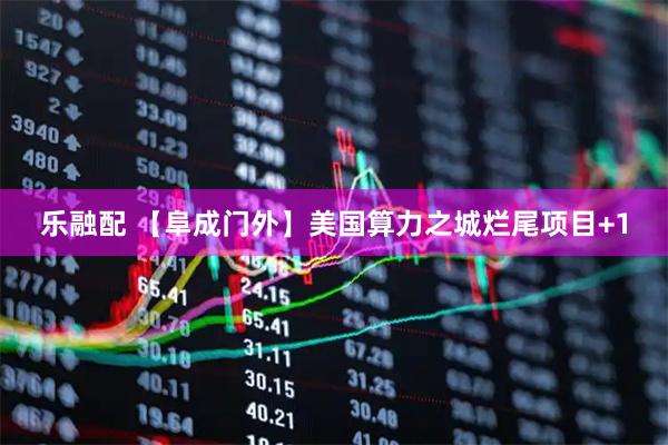 乐融配 【阜成门外】美国算力之城烂尾项目+1